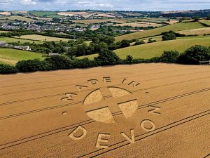 Made in Devon logo in a wheat field